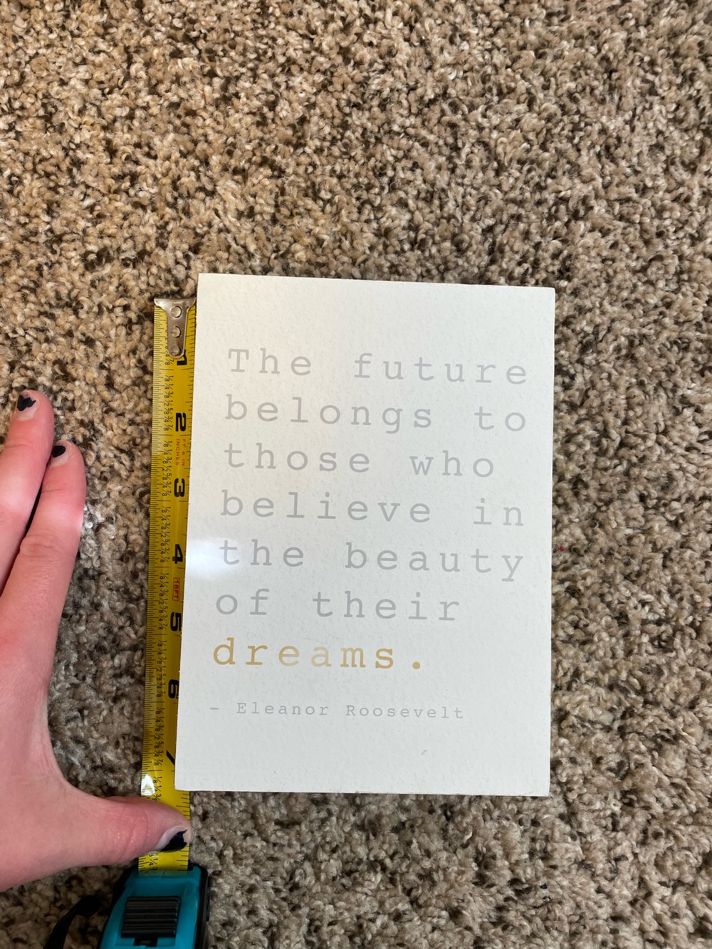 Wall decor plaque  quote The future belongs to those who believe in the beauty o